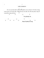 Luận văn thạc sỹ kinh tế Hoàn thiện chính sách xuất khẩu sản phẩm chè của Tổng công ty chè Việt Nam sang thị trường Hoa Kỳ