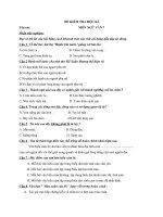 Đề kiểm tra ngữ văn lớp 7 có đáp án