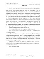 Kế toán bán hàng nhóm hàng đèn điện tại công ty CP đầu tư thương mại và xây dựng việt hưng 