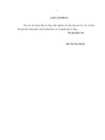 Luận văn thạc sỹ Phát triển dịch vụ ngân hàng bán lẻ tại ngân hàng TMCP đầu tư và phát triển việt nam   chi nhánh ninh bình