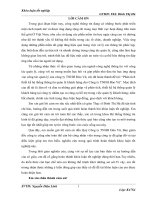 Phân tích và thiết kế hệ thống thông tin quản lý khách hàng tại Công ty TNHH Đào Vũ