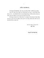 Luận văn thạc sỹ Phát triển chiến lược marketing của Công ty TNHH La Vie – Chi Nhánh Hà Nội