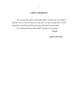 Luận văn thạc sỹ Phát triển chiến lược marketing của công ty cổ phần xuất nhập khẩu và xây dựng việt đức