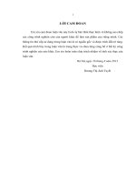 Luận văn thạc sỹ Quản lý dự án xây lắp dầu khí trên địa bàn tỉnh thái bình 