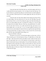 Phân tích hiệu quả sử vốn kinh doanh tại công ty cổ phần đầu tư và phát triển hải ngân 