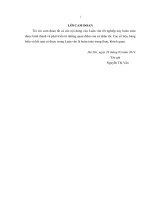 Luận văn thạc sỹ Nâng cao chất lượng nhân lực của  công ty cổ  phần công nghệ t  tech việt nam