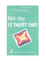 Bài tập lý thuyết cháy
