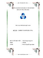 Tổng quan Carbon nanotubes