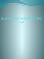 Quản lý tổng hợp vùng bờ tỉnh sóc trăng