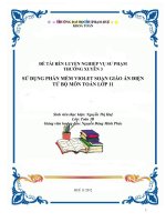 SỬ DỤNG PHẦN MỀM VIOLET SOẠN GIÁO ÁN ĐIỆN TỬ BỘ MÔN TOÁN LỚP 11