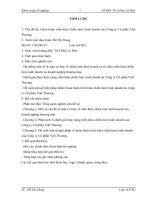 Hoàn thiện triển khai chiến lược kinh doanh của Công ty Cổ phần Việt Thương