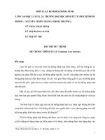 Tiểu luận môn luật so sánh Hệ thống thông luật Common Law