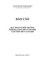 QUY HOẠCH MÔI TRƯỜNG VỊNH HẠ LONG ĐẾN NĂM 2020, TẦM NHÌN ĐẾN NĂM 2030