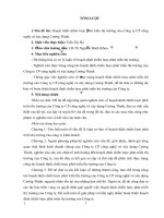 Hoạch định chiến lược phát triển thị trường của Công ty CP công nghệ và xây dựng Cường Thịnh.