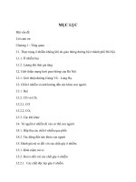 Khảo sát tiếp xúc ô nhiễm do bụi và CO của người dân làm nghề lái xe ôm và bán hàng bên đường tại đường giảng võ, láng hạ thành phố hà nội  đánh giá rủi ro sức khỏe