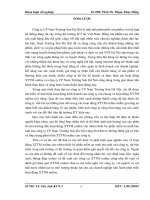 Phát triển hoạt động xúc tiến thương  mại online cho nhóm thiết bị phần mềm an ninh bảo mật của công ty CP Nam Trường Sơn Hà Nội”.