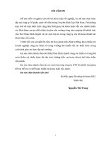 Hoàn thiện triển khai chiến lược thâm nhập thị trường của công ty CP Quốc tế viễn thông Truyền Hình Cáp Việt Nam