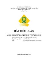 Tiểu luận môn điện tử học lượng tử ứng dụng Bản chất và cơ chế điện tử học lượng tử của ánh sáng và màu sắc