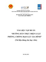 HƯỚNG DẪN THỰC HIỆN LUẬT PHÒNG CHỐNG BẠO LỰC GIA ĐÌNH