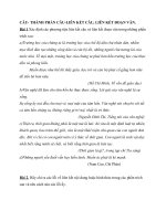 BÀI TẬP TIÊNG VIỆT LỚP 9