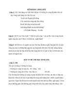 ĐỀ THI HỌC SINH GIỎI MÔN NGỮ VĂN 8 CÓ LỜI GIẢI