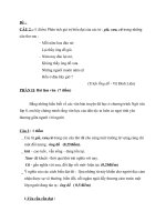 ĐỀ THI HỌC SINH GIỎI MÔN NGỮ VĂN 8