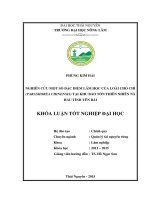 Nghiên cứu một số đặc điểm lâm học của loài Chò chỉ tại khu bảo tồn thiên nhiên Nà Hẩu tỉnh Yên Bái