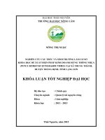 Nghiên cứu cấu trúc và sinh trưởng làm cơ sở khoa học đề xuất biện pháp kinh doanh rừng trồng Thông nhựa tại xã Trung Thành, huyện Tràng Định, tỉnh Lạng Sơn