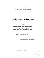 Nghiên cứu xây dựng khung chính sách đào tạo nghề phục vụ công nghiệp hóa hiện đại hóa đất nước