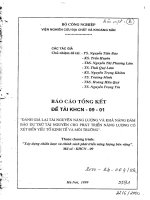 Đánh giá lại tài nguyên năng lượng và khả năng đảm bảo trữ tài nguyên cho phát triển năng lượng có xét đến yếu tố kinh tế và môi trường