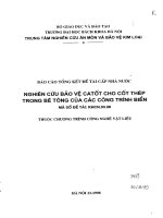 Nghiên cứu bảo vệ ca tốt cho cốt thép trong bê tông của các công trình biển