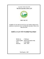 Nghiên cứu kỹ thuật sản xuất cây giống Chùm ngây tại trường Đại học Nông Lâm Thái Nguyên