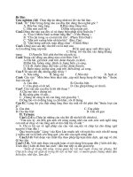 Kiểm tra ngữ văn lớp 9