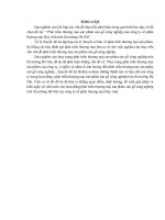 Khóa luận tốt nghiệp Phát triển thương mại sản phẩm sàn gỗ công nghiệp của Công ty Cổ phần Thương mại Huy Anh trên thị trường Hà Nội