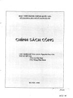 Chính sách công (Chính sách công )