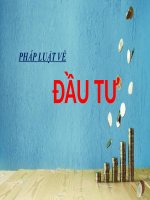 Thuyết trình chủ đề pháp luật về đầu tư 