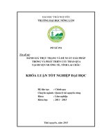 Đánh giá thực trạng và đề xuất giải pháp trồng và phát triển cây Thảo Qủa tại huyện Mường Tè, tỉnh Lai Châu