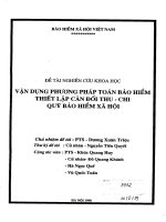 Vận dụng phương pháp toán bảo hiểm thiết lập cân đối thu chi quỹ bảo hiểm xã hội