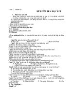 ĐỀ KIỂM TRA HỌC KÌ I MÔN NGỮ VĂN 9