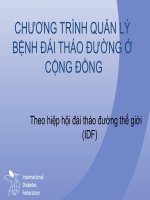 CHƯƠNG TRÌNH QUẢN lý BỆNH đái THÁO ĐƯỜNG Ở CỘNG ĐỒNG