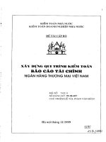 Xây dựng qui tình kiểm toán báo cáo tài chính ngân hàng thương mại việt nam