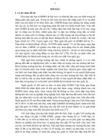 Tóm tắt luận án Phát triển đội ngũ hiệu trưởng trường đại học trên địa bàn thành phố Hà Nội theo tiếp cận năng lực