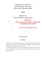 P PHỤ GIA tạo vị NGỌT CHO nước GIẢI KHÁT TRÀ XANH