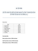 Bài tiểu luận Phân tích hiệu quả kinh doanh của Công ty Bánh kẹo Hải Hà