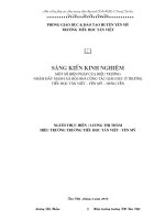 MỘT SỐ BIỆN PHÁP CỦA HIỆU TRƯỞNG NHẰM ĐẨY MẠNH CÔNG TÁC XÃ HỘI HÓA GIÁO DỤC Ở TRƯỜNG TIỂU HỌC TÂN VIỆT YÊN MĨ HƯNG YÊN