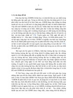 Phát triển đội ngũ hiệu trưởng trường đại học trên địa bàn thành phố Hà Nội theo tiếp cận năng lực