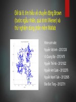tìm hiểu về chuyển động brown (bước ngẫu nhiên, quá trình wiener)