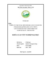 NGHIÊN cứu một số đặc điểm SINH học LOÀI cây RE HƯƠNG (cinnamomum parthenoxylon (JACK ) MEISN ) làm cơ sở để bảo tồn và PHÁT TRIỂN LOÀI tại HUYỆN đại từ   THÁI NGUYÊN 