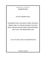 Luận văn thạc sĩ giải pháp nâng cao chất lượng tín dụng trong cho vay trung dài hạn tại ngân hàng TMCP ngoại thương việt nam, chi nhánh đăk lăk