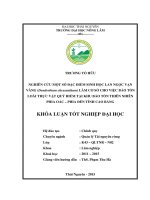 Nghiên cứu một số đặc điểm sinh học lan ngọc vạn vàng (dendrobium chrysanthum) làm cơ sở cho việc bảo tồn các loại thực vật quý hiếm tại khu bảo tồn thiên nhiên phia oắc 